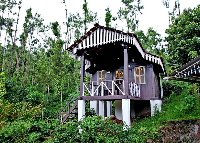 Jungle Greens Homestay - Water Activities, 150Y Estate, Home Food