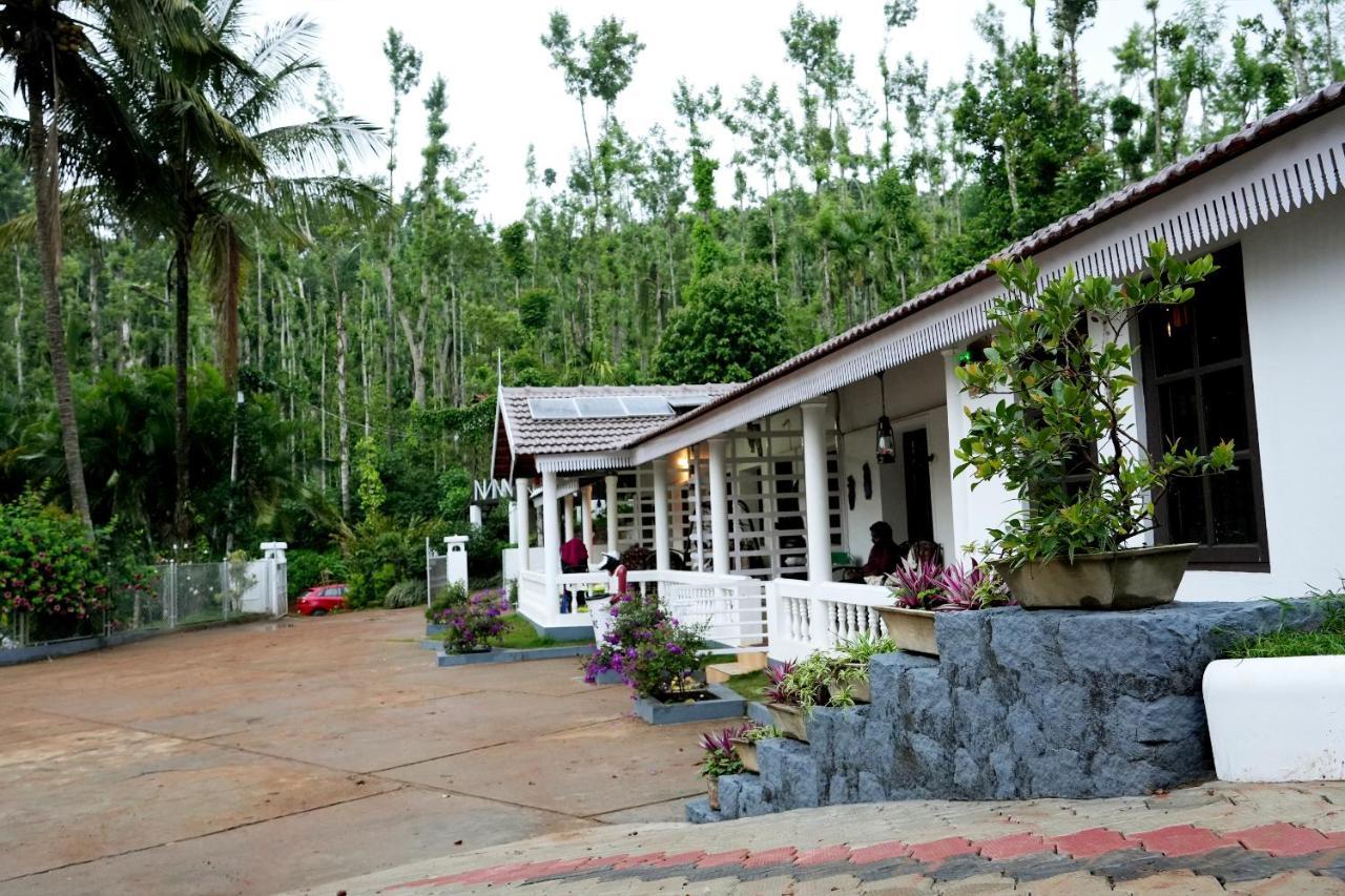 Jungle Greens - Water Activities, 150y Estate, Food Chikmagalur