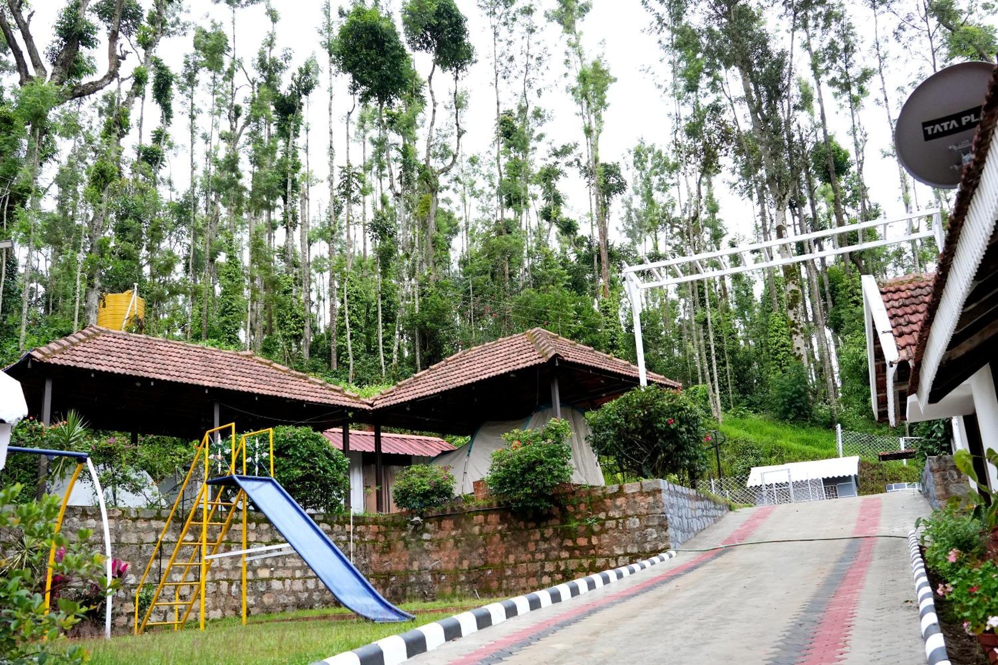 Jungle Greens - Water Activities, 150y Estate, Food Homestay Chikmagalur