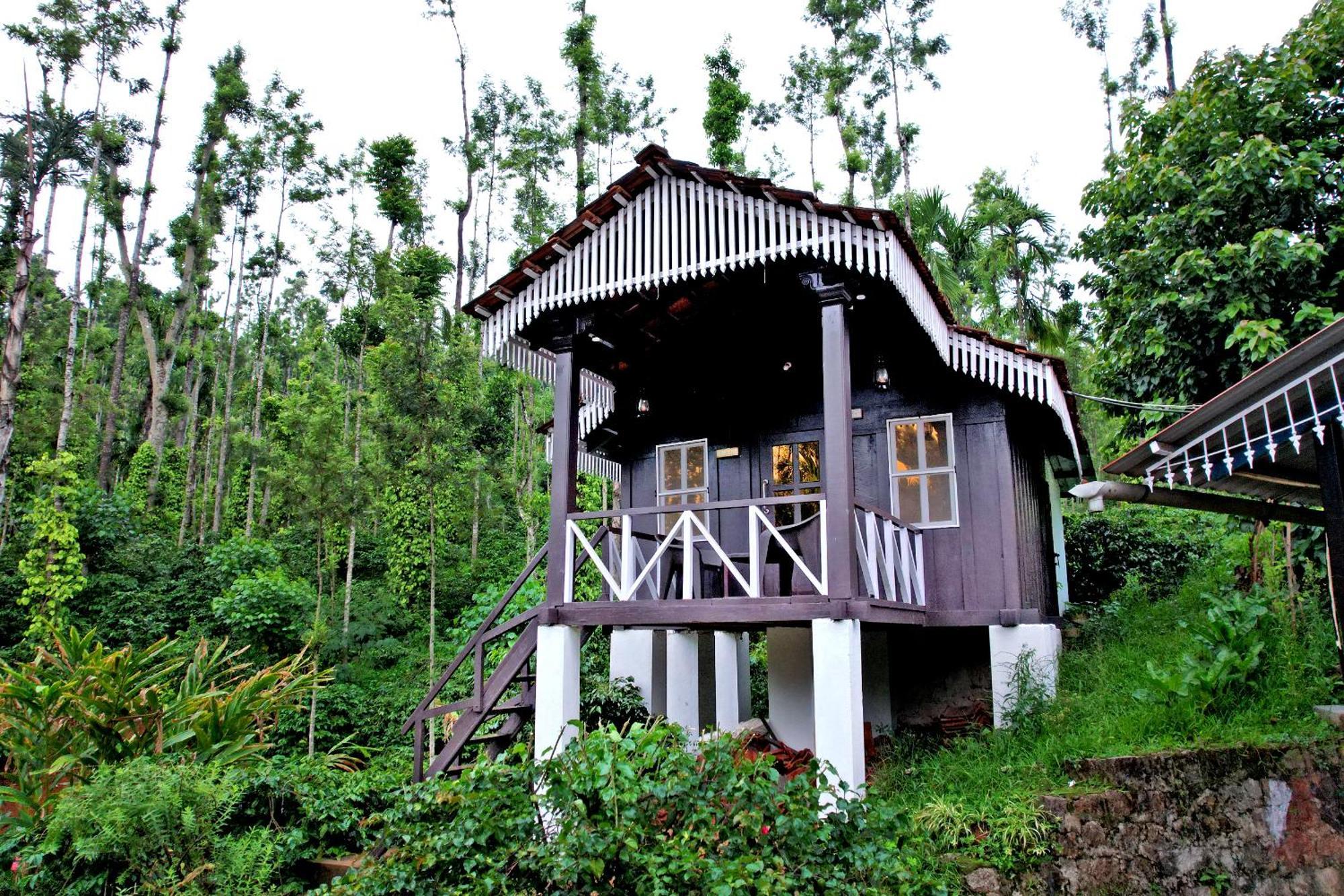 Jungle Greens - Water Activities, 150y Estate, Food * Chikmagalur