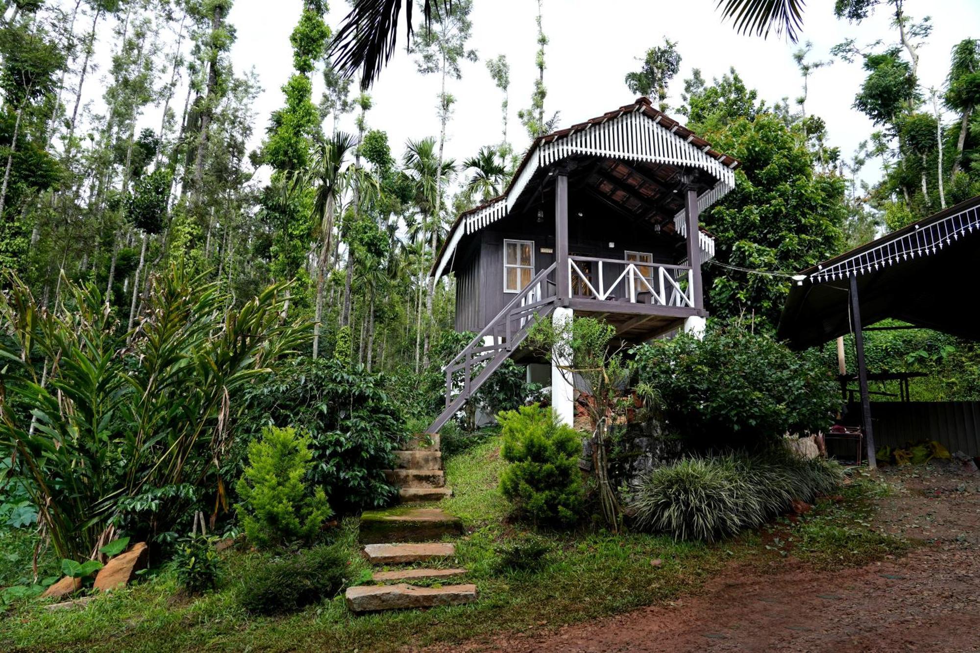 Homestay Jungle Greens - Water Activities, 150y Estate, Food Chikmagalur